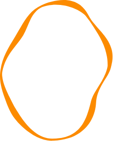 Orange Form um aktive Slide